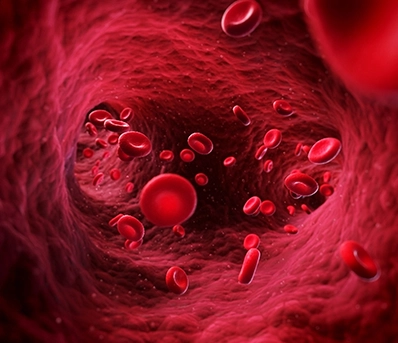 Boost Circulation & Blood Flow